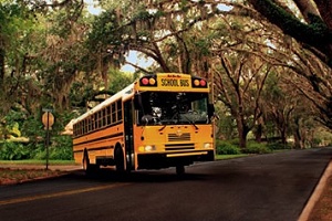 Ônibus Escolar nos Estados Unidos